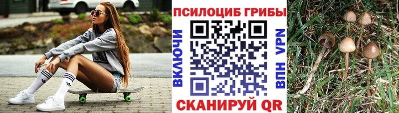 Галлюциногенные грибы Psilocybine cubensis  Заволжск 