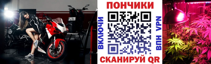 сколько стоит  Заволжск  Марихуана семена 